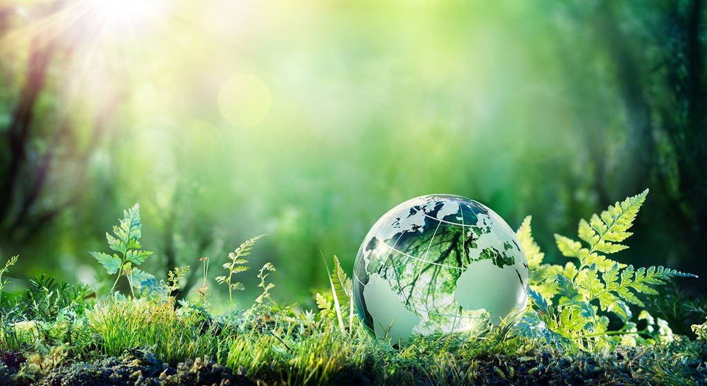 Celebrating the Season of Creation 2021