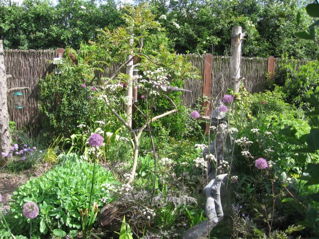 Gardening for Wildlife